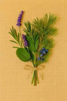 Lotion - Goat Milk - Wild Lavender