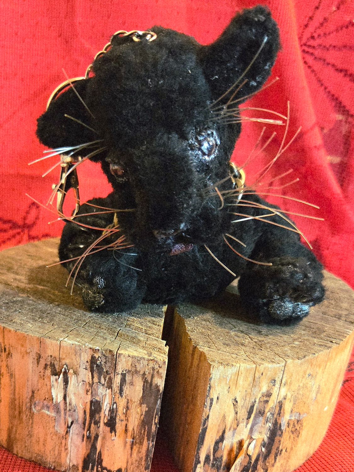 Ayo, the teen Panther Charm.