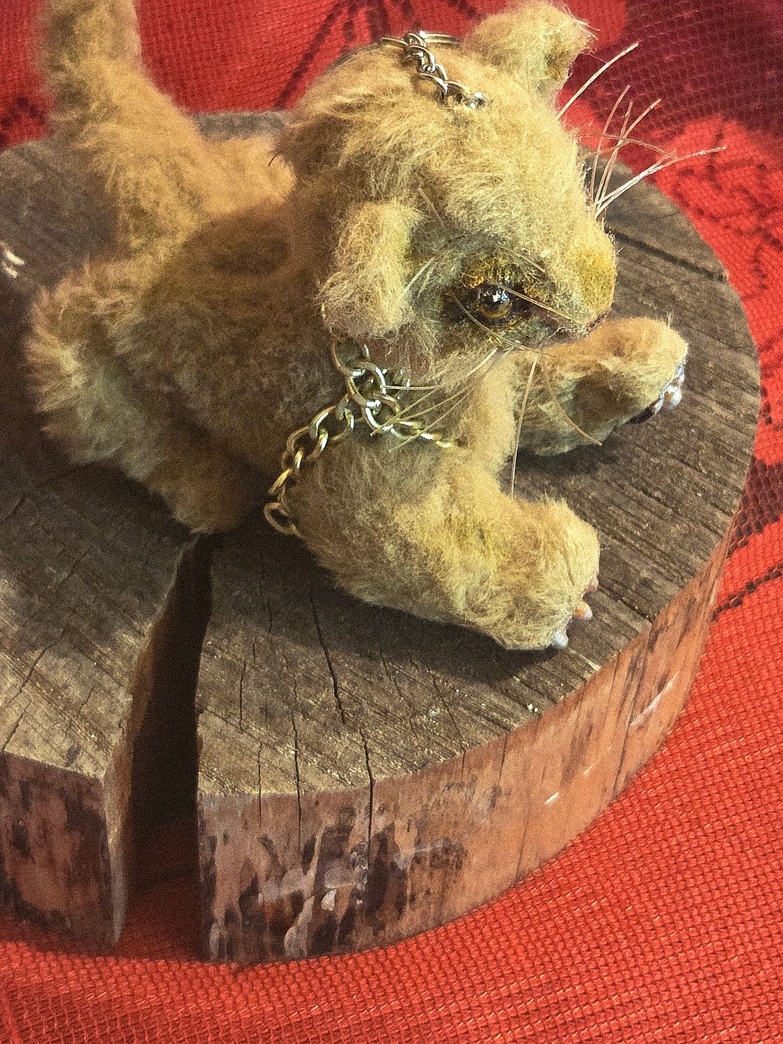 Kiara, the Lion cub Princess
