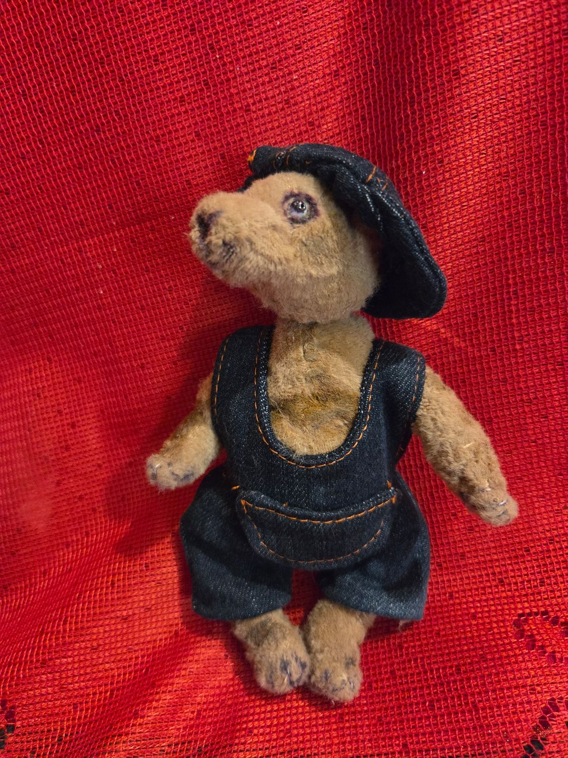 Kiwi, the Teddy bear.