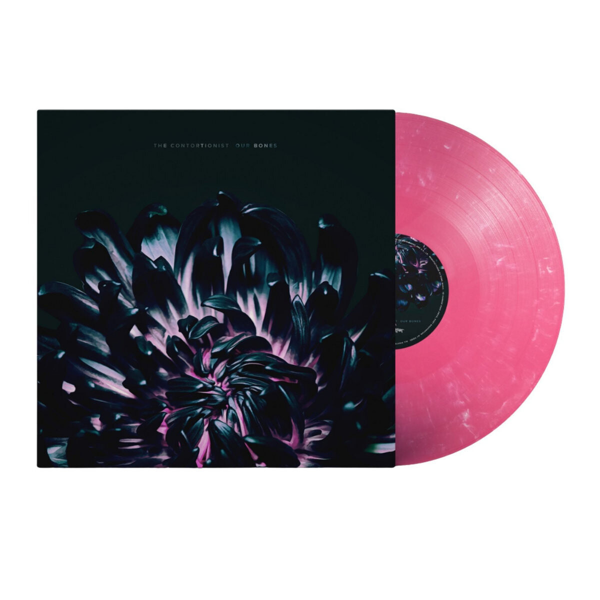 The Contortionist - Our Bones (180g pink/white marble)