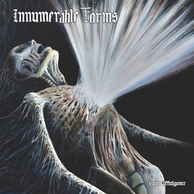 Innumerable Forms - Pain Effulgence (Black?)