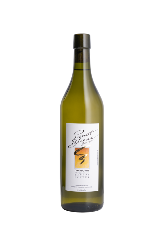 Chardonne "Pinot Blanc" - Barrique  2023