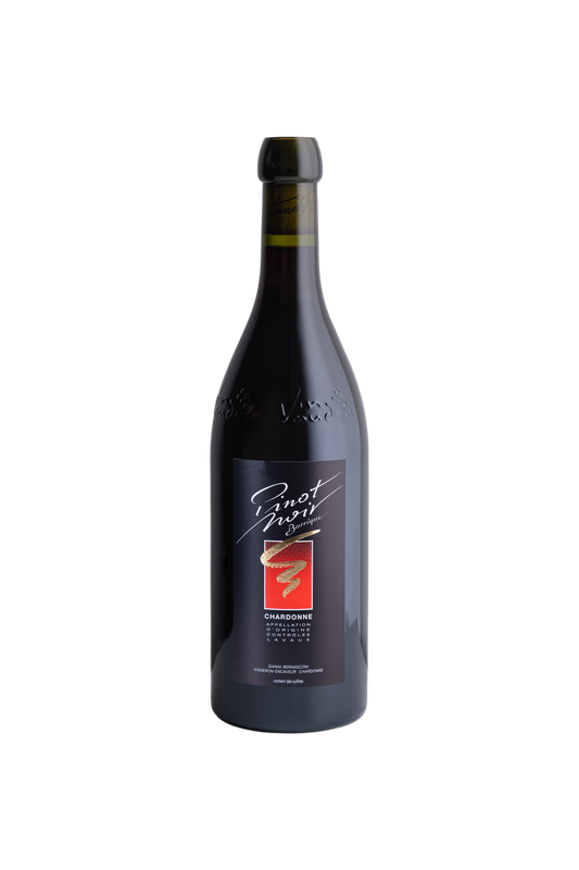 Chardonne "Pinot Noir" Barrique - 2023/24