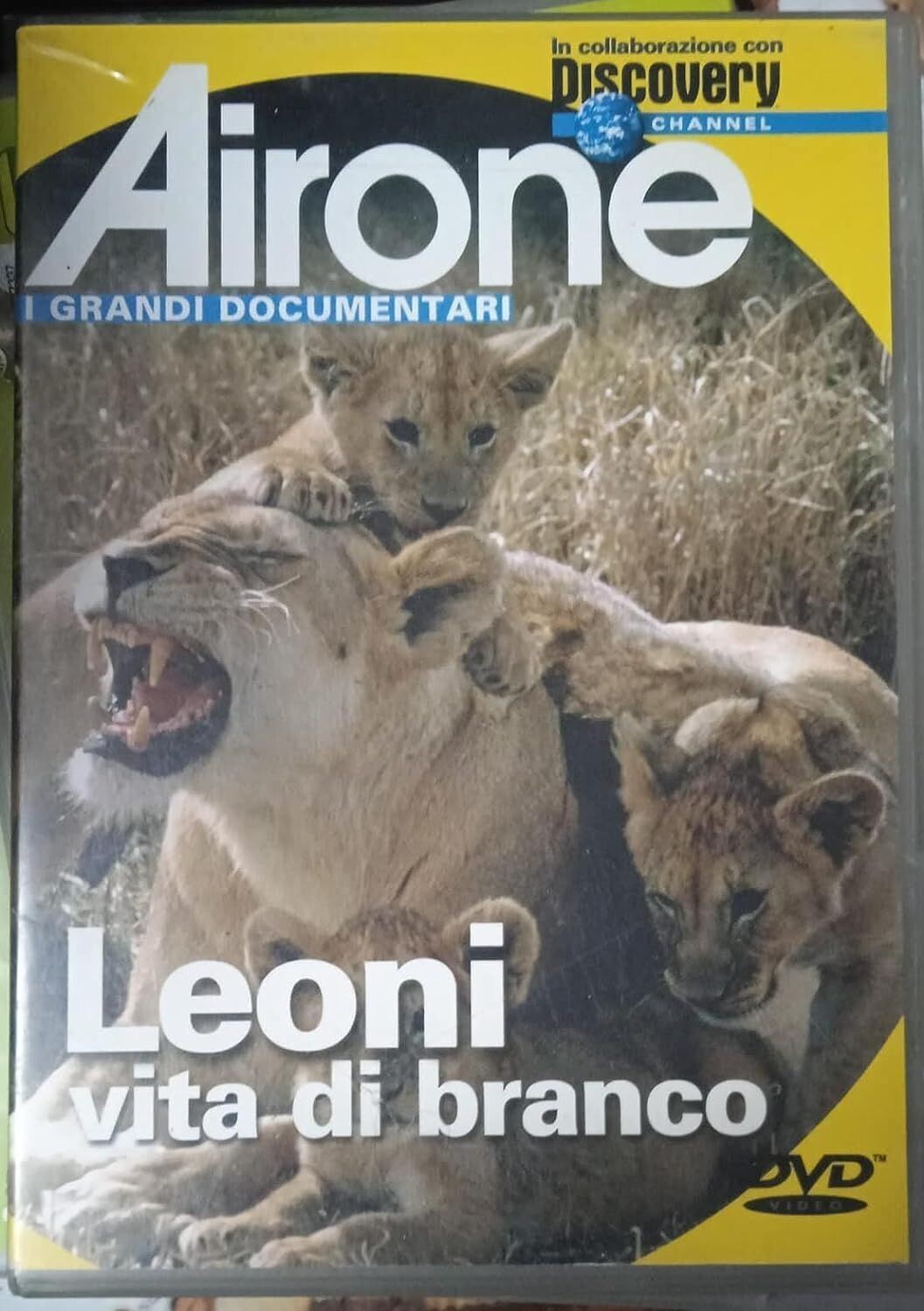 TeknoFilm - DVD – AIRONE: LEONI VITA DA BRANCO - MONDADORI