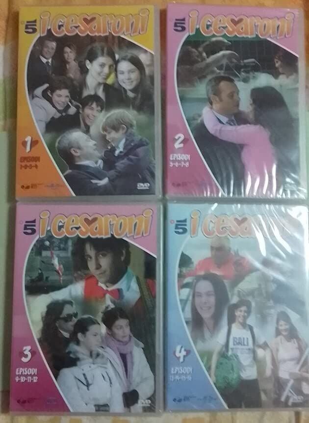 TeknoFilm - 4 DVD – I CESARONI Stagione 01 Episodi da 1 a 16 di Francesco Vicario (2006) - RTI