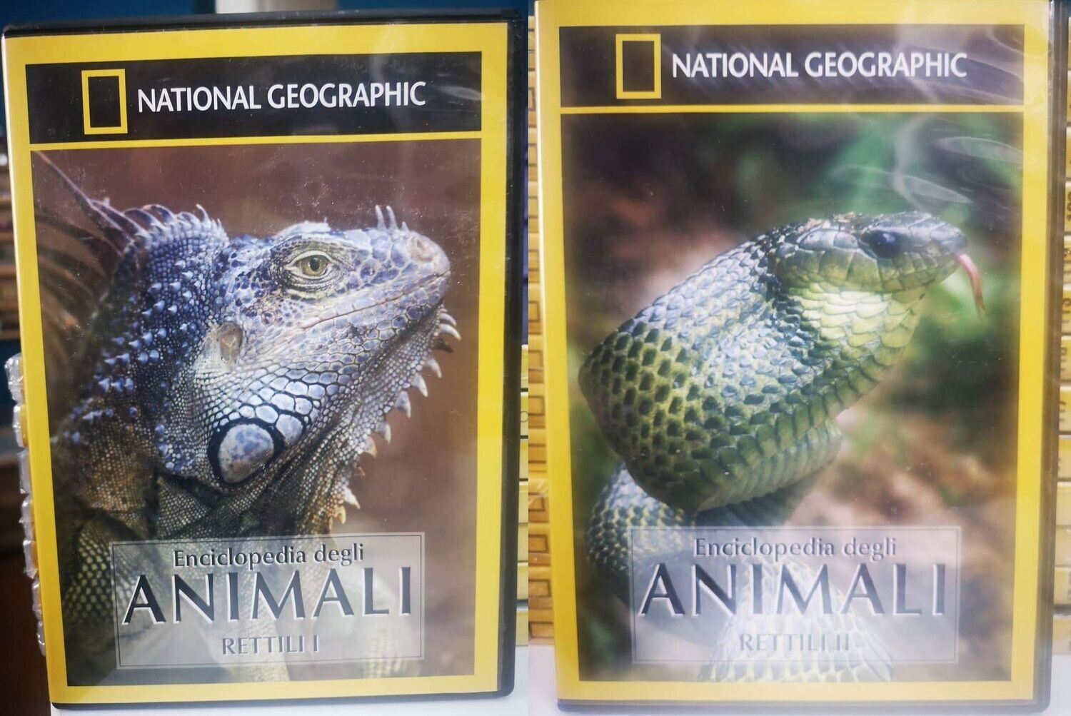 TeknoFilm - 2 DVD – NATIONAL GEOGRAPHIC - ENCICLOPEDIA DEGLI ANIMALI - RETTILI I e RETTILI II (2002) - NATIONAL GEOGRAPHIC