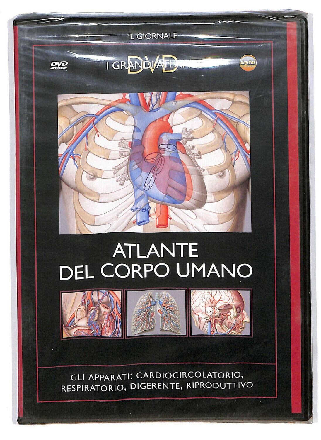 TeknoFilm - DVD – Atlante del corpo umano - GLI APPARATI:  CARDIOCIRCOLATORIO, RESPIRATORIO, DIGERENTE, RIPRODUTTIVO (2006) - IL GIORNALE