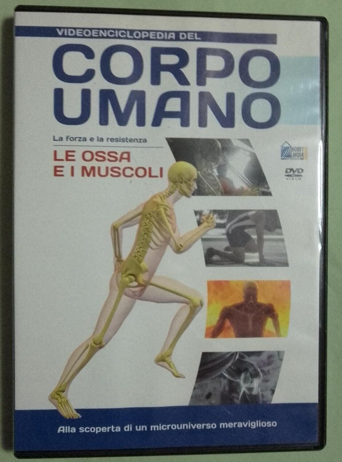 TeknoFilm - DVD – Videoenciclopedia del corpo umano - LE OSSA E I MUSCOLI (2009) - HOBBY & WORK