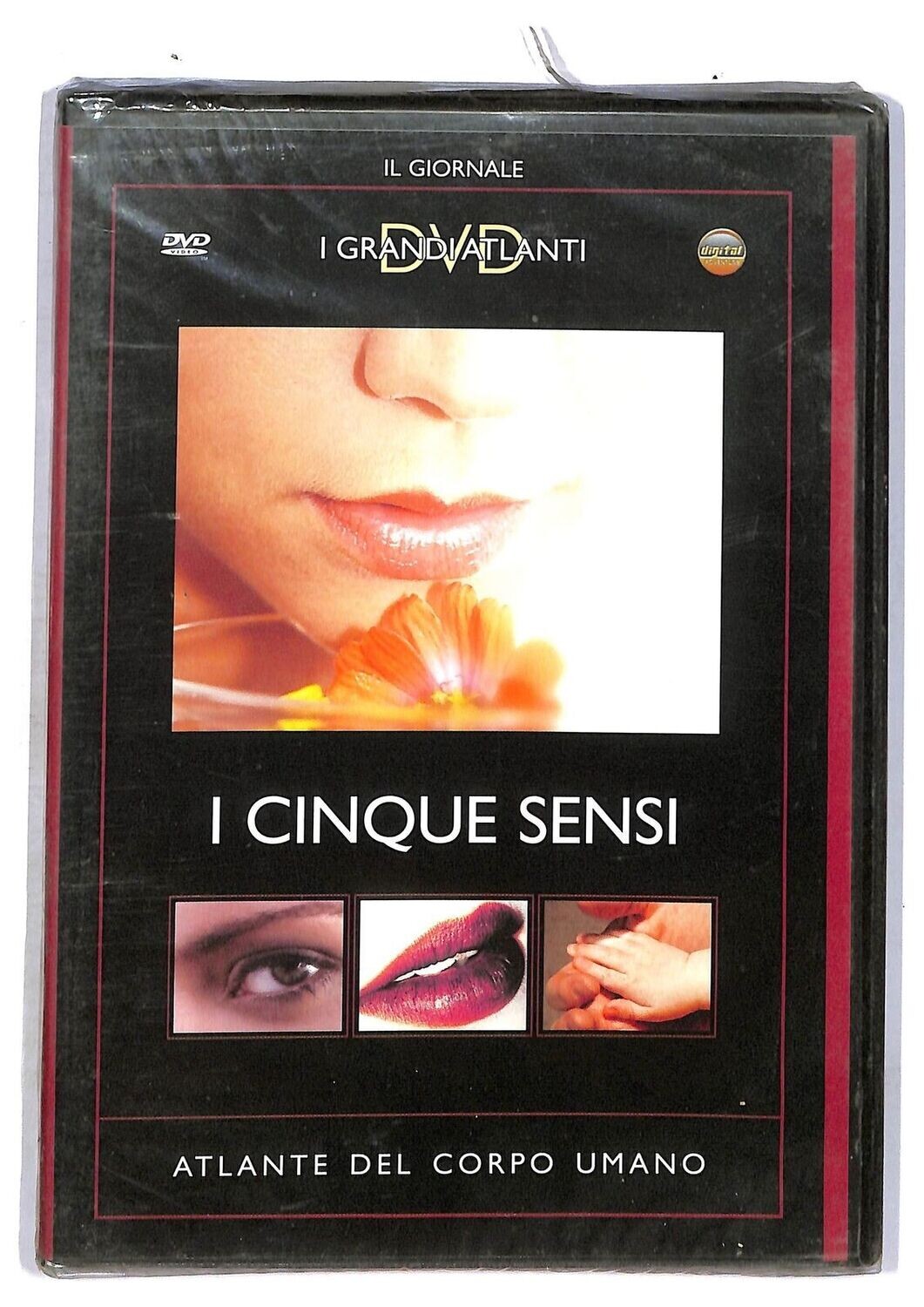 TeknoFilm - DVD - Atlante del corpo umano - I CINQUE SENSI (2004) - IL GIORNALE