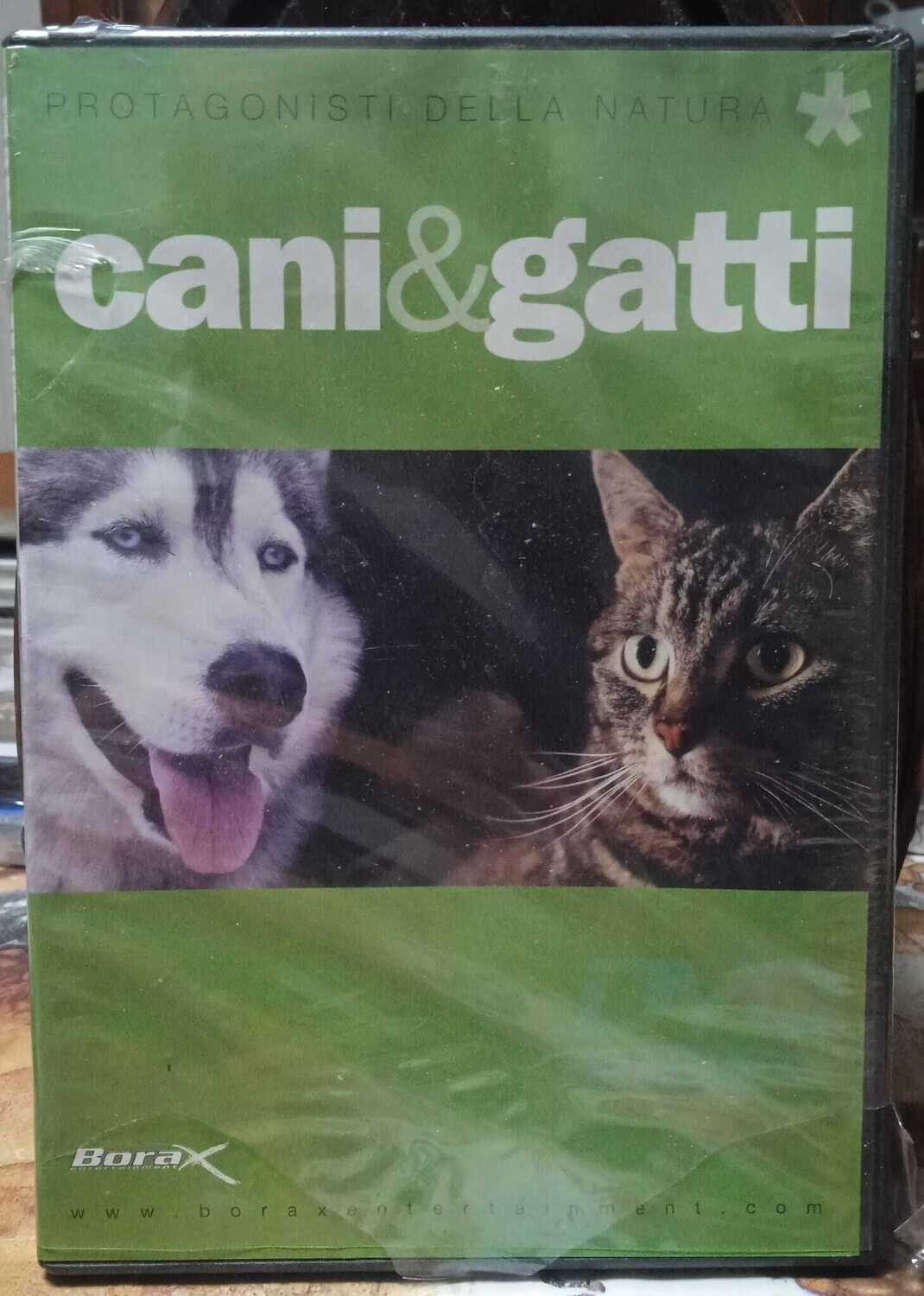 TeknoFilm - DVD – CANI & GATTI - PROTAGONISTI DELLA NATURA - BORAX