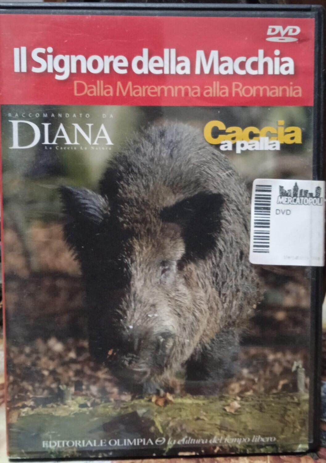TeknoFilm - DVD – IL SIGNORE DELLA MACCHIA - Dalla Maremma alla Romania - OLIMPIA