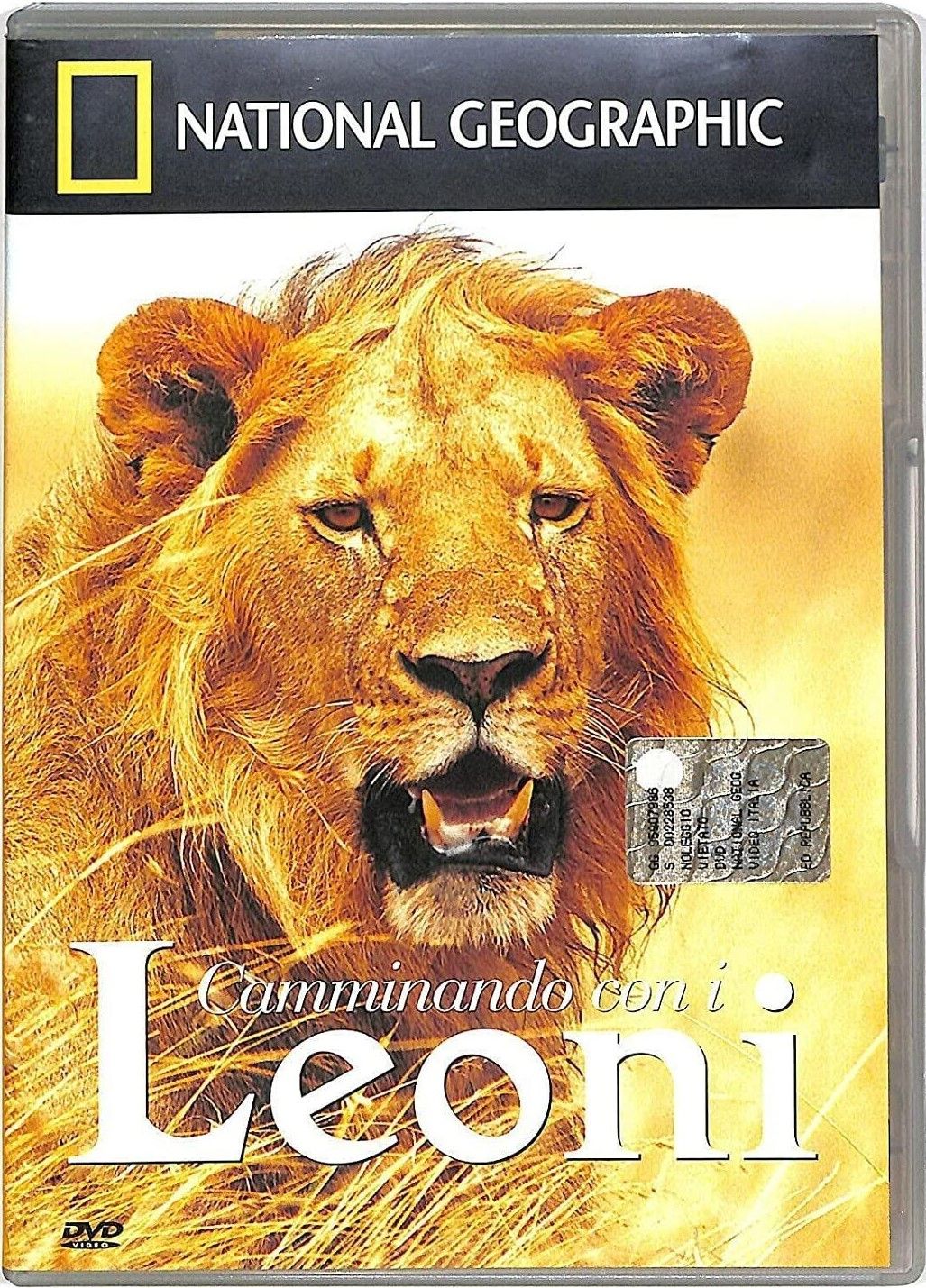 TeknoFilm - DVD – NATIONAL GEOGRAPHIC N° 05 - CAMMINANDO CON I LEONI (2002) - NATIONAL GEOGRAPHIC