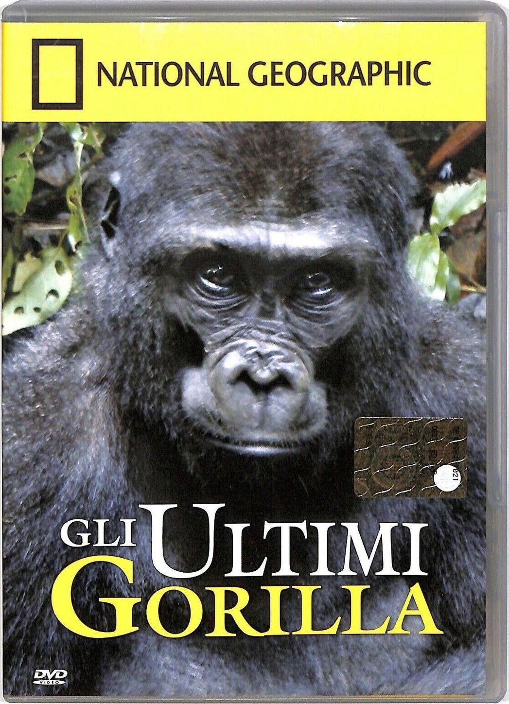 TeknoFilm - DVD – NATIONAL GEOGRAPHIC N° 93 - GLI ULTIMI GORILLA (2009) - NATIONAL GEOGRAPHIC