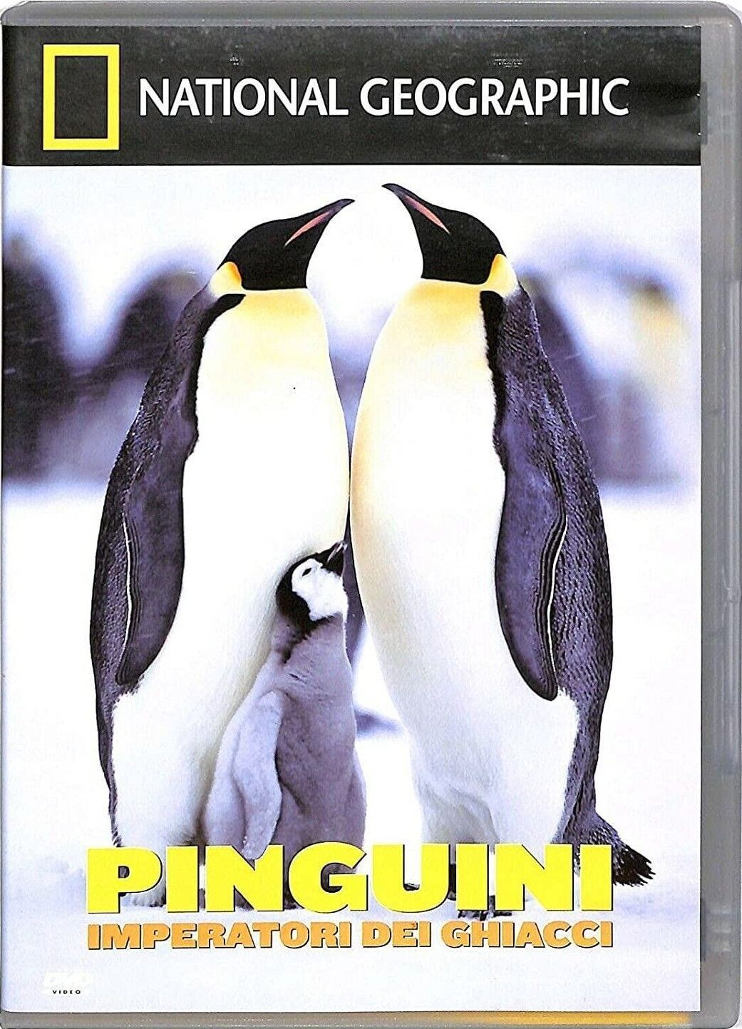 TeknoFilm - DVD – NATIONAL GEOGRAPHIC N° 48 - PINGUINI IMPERATORI DEI GHIACCI (2004) - NATIONAL GEOGRAPHIC