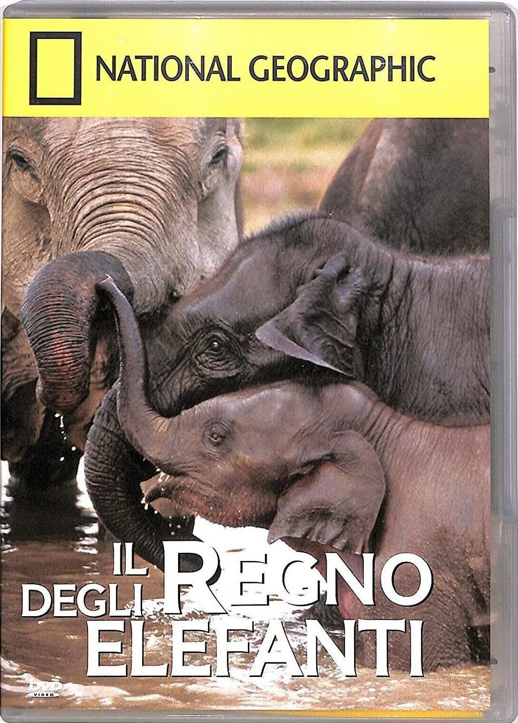 TeknoFilm - DVD – NATIONAL GEOGRAPHIC N° 42 - IL REGNO DEGLI ELEFANTI (2000) - NATIONAL GEOGRAPHIC