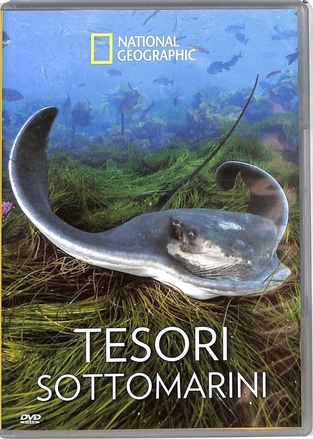TeknoFilm - DVD – NATIONAL GEOGRAPHIC N° 174 - TESORI SOTTOMARINI (2017) - NATIONAL GEOGRAPHIC