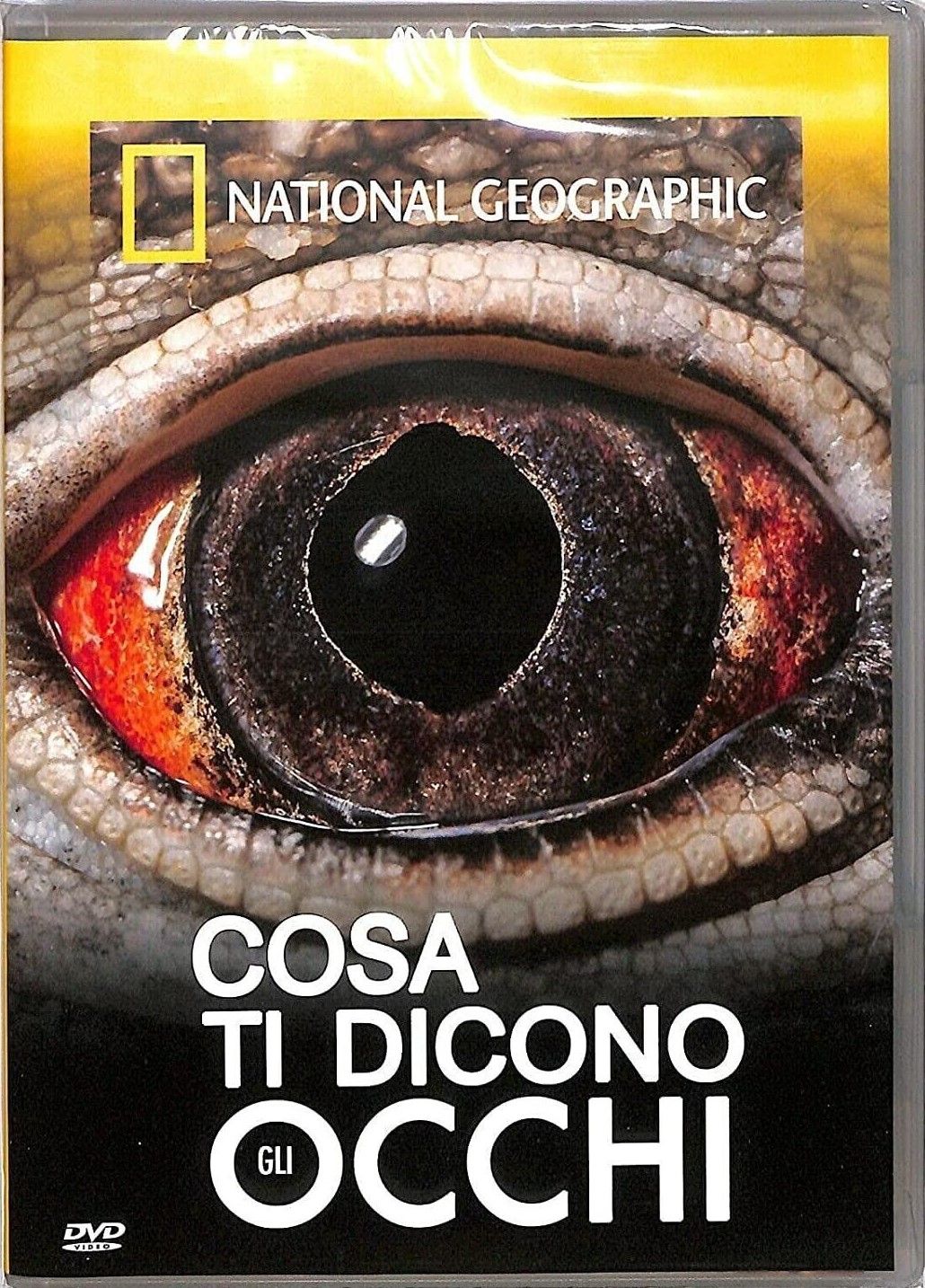TeknoFilm - DVD – NATIONAL GEOGRAPHIC N° 161 - COSA TI DICONO GLI OCCHI (2015) - NATIONAL GEOGRAPHIC