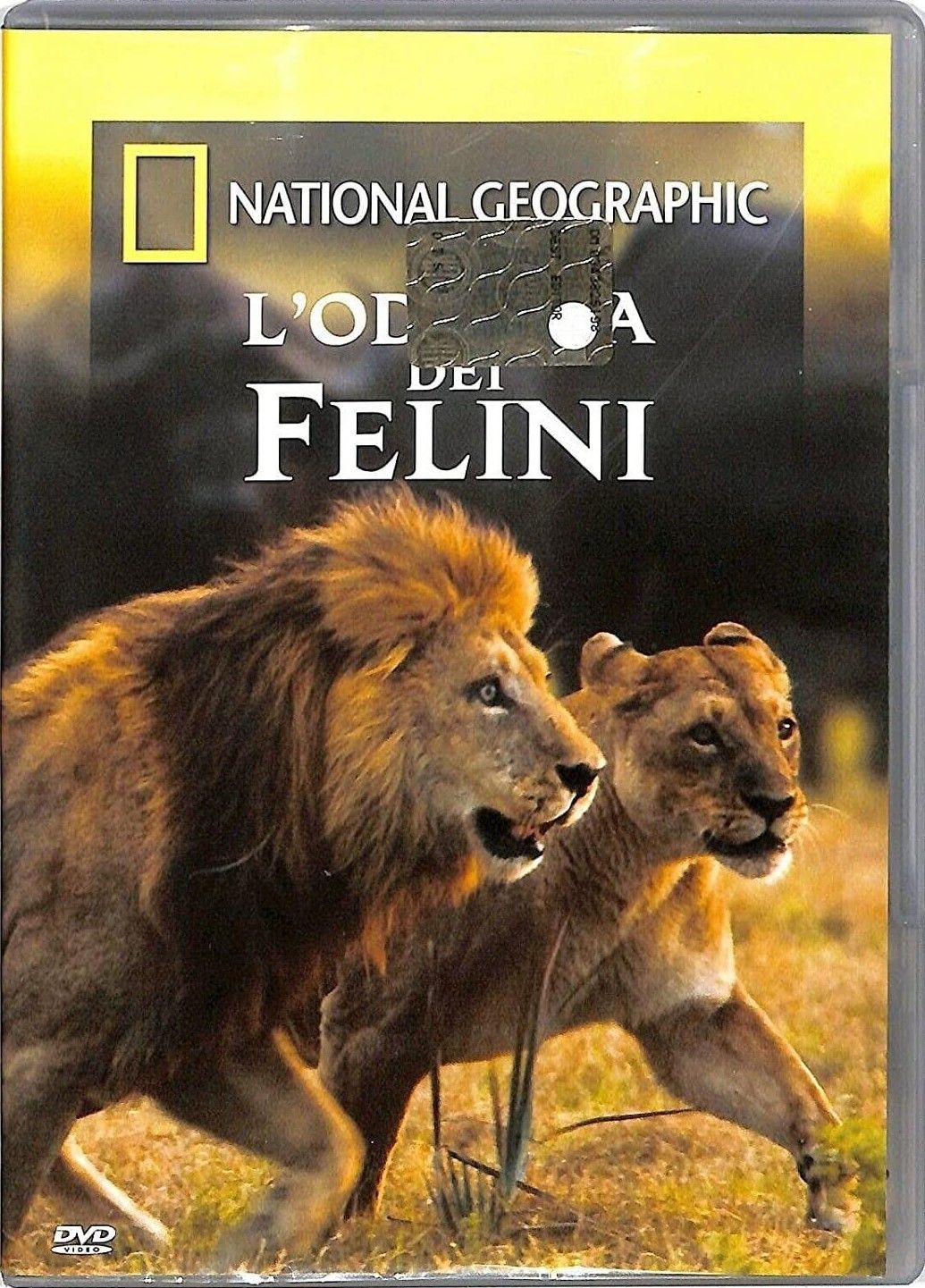 TeknoFilm - DVD – NATIONAL GEOGRAPHIC N° 112 - L'ODISSEA DEI FELINI (2010) - NATIONAL GEOGRAPHIC