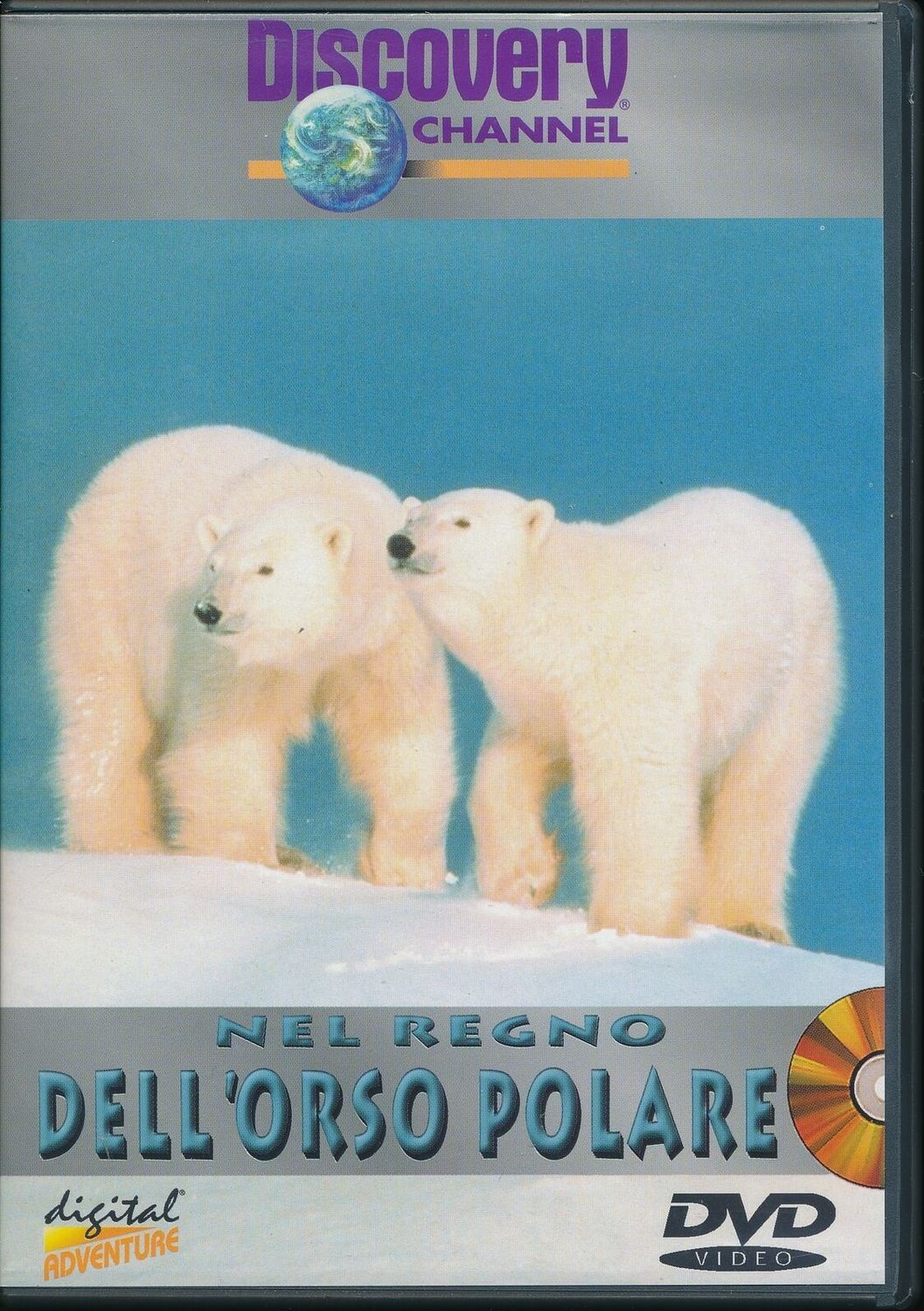 TeknoFilm - DVD – NEL REGNO DELL'ORSO POLARE (2008) - CINEHOLLYWOOD