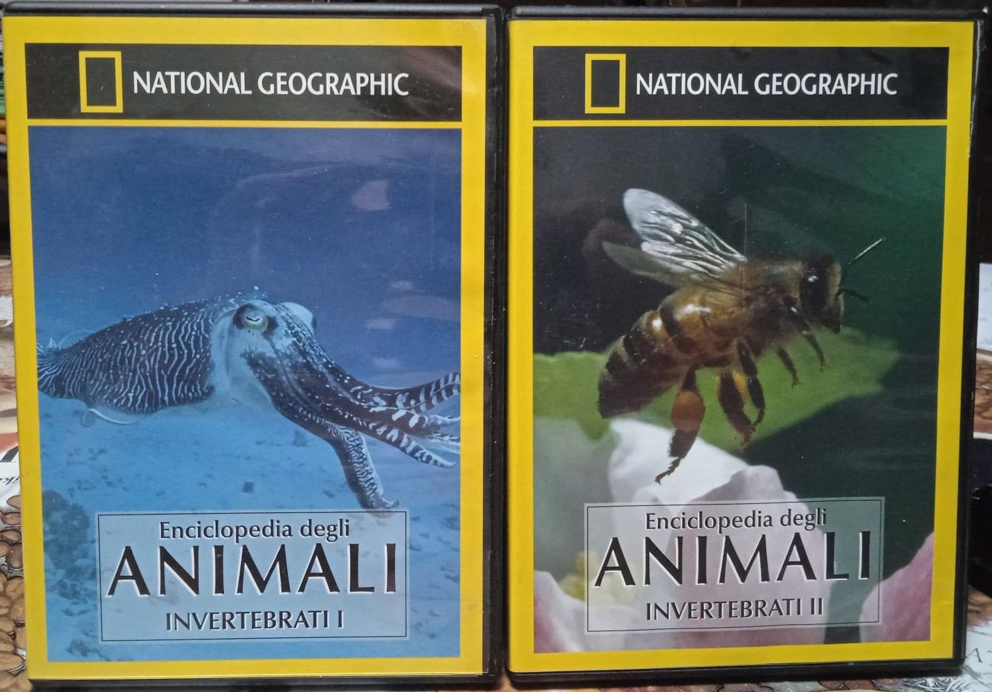 TeknoFilm - 2 DVD – NATIONAL GEOGRAPHIC - ENCICLOPEDIA DEGLI ANIMALI - INVERTEBRATI I e INVERTEBRATI II (2002) - NATIONAL GEOGRAPHIC