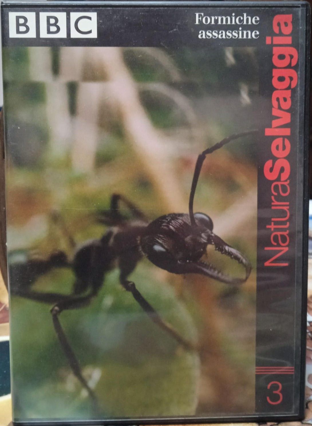 TeknoFilm - DVD - NATURA SELVAGGIA Vol. 03 - FORMICHE ASSASSINE (2004) - BBC