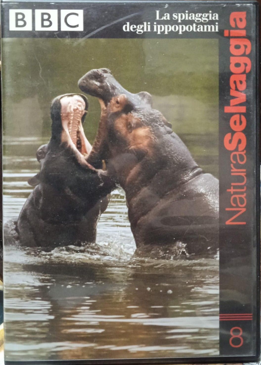 TeknoFilm - DVD - NATURA SELVAGGIA Vol. 08 - LA SPIAGGIA DEGLI IPPOPOTAMI (2004) - BBC
