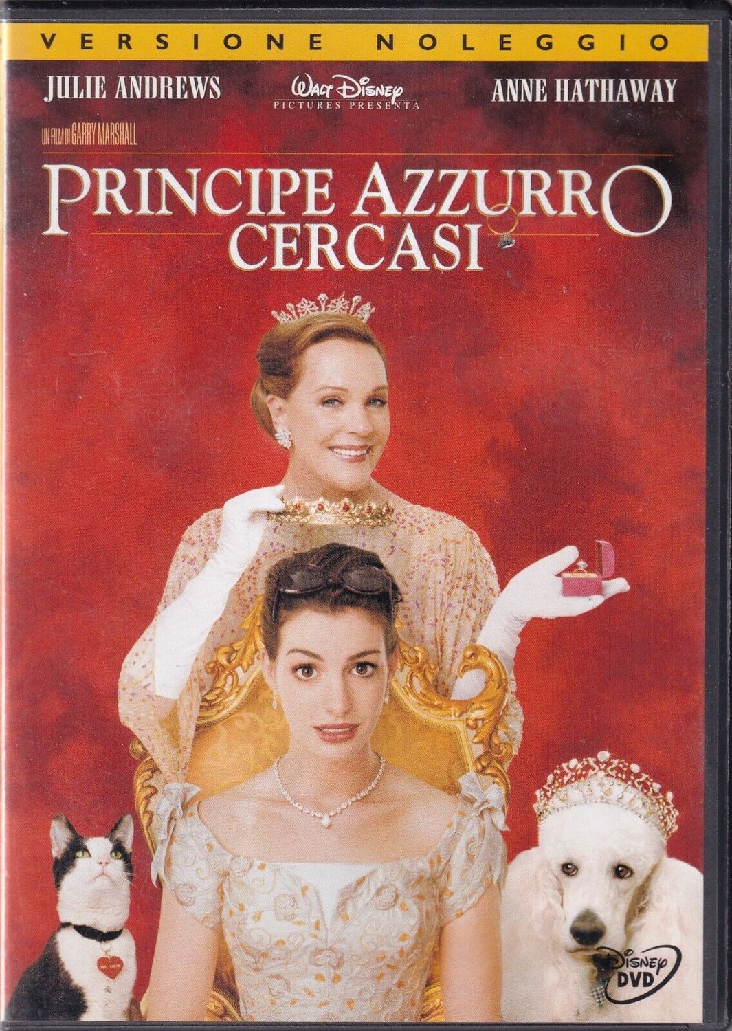 TeknoFilm - DVD - PRINCIPE AZZURRO CERCASI (Versione noleggio) di Garry Marshall (2004) - WALT DISNEY