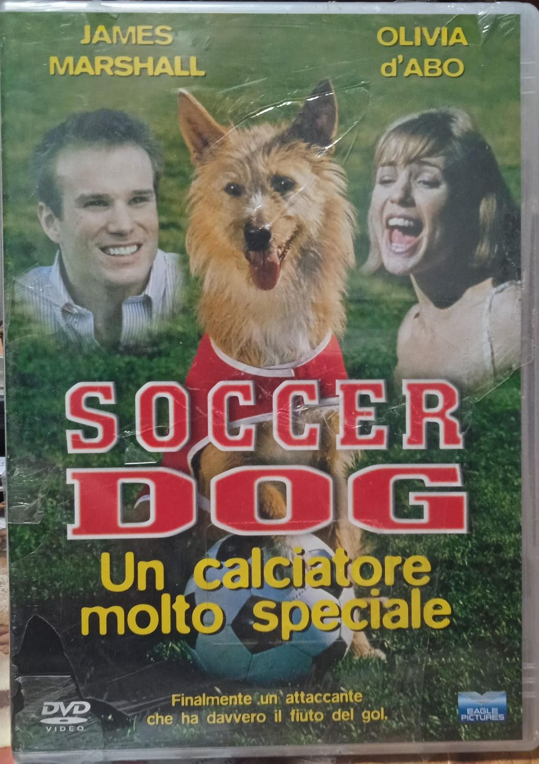 TeknoFilm - DVD – SOCCER DOG di Tony Giglio (1999) - EAGLE
