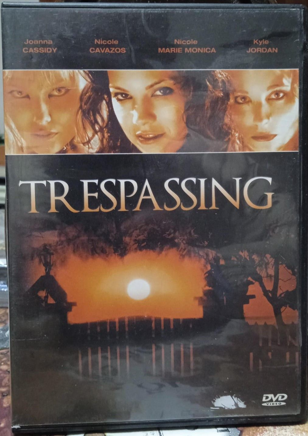 TeknoFilm - DVD - TRESPASSING di David De Cocteau (2005) - MEDIAFILM