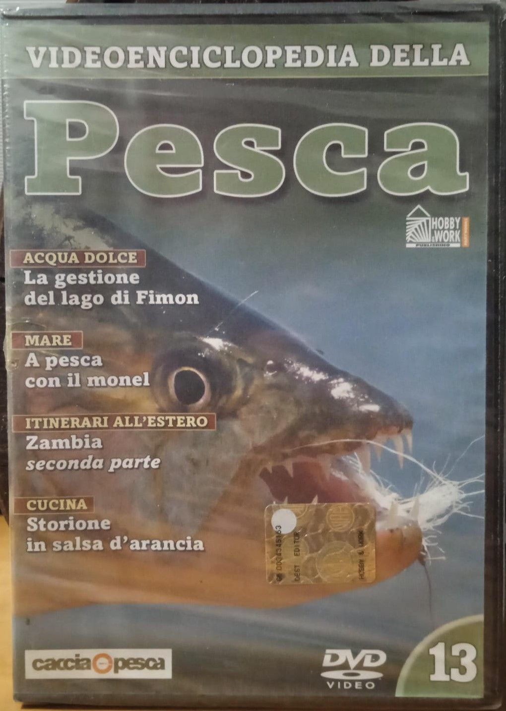 TeknoFilm - DVD - VIDEOENCICLOPEDIA DELLA PESCA Vol. 13 (ACQUA DOLCE, MARE, ITINERARI ALL'ESTERO, CUCINA) 2006 - HOBBY & WORK