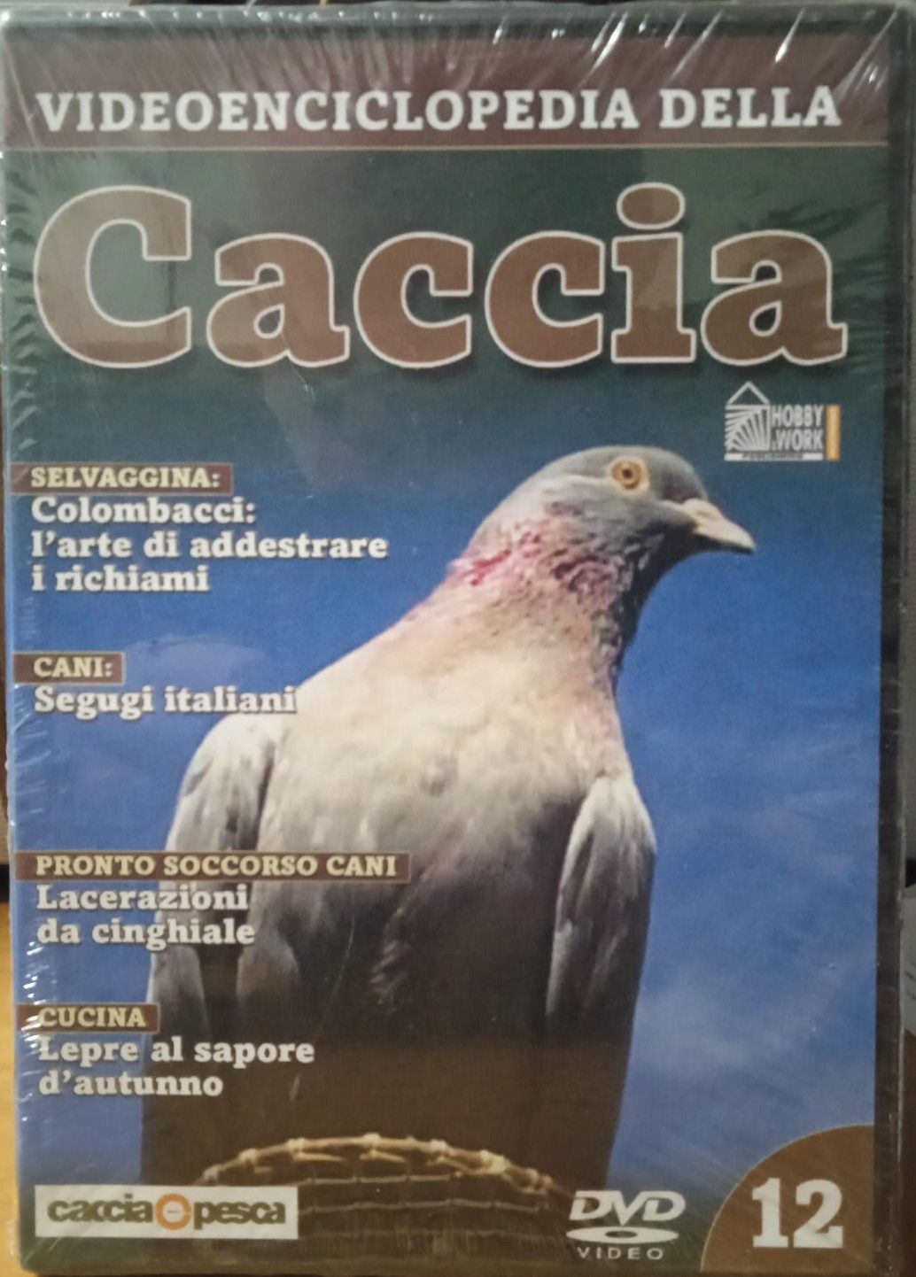 TeknoFilm - DVD - VIDEOENCICLOPEDIA DELLA CACCIA Vol. 12 (SELVAGGINA, CANI, PRONTO SOCCORSO CANI, CUCINA) 2006 - HOBBY & WORK