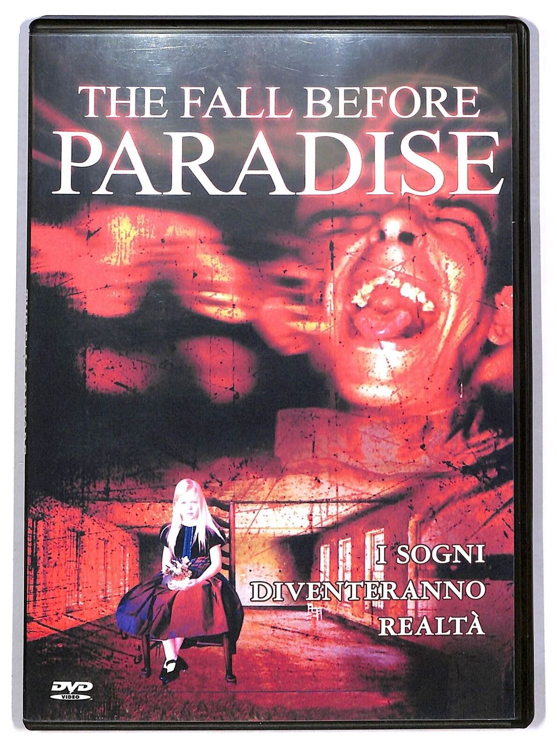 TeknoFilm - DVD - FALL BEFORE PARADISE (Versione noleggio)  di Steven Gillilan (2004) - WARNER BROS