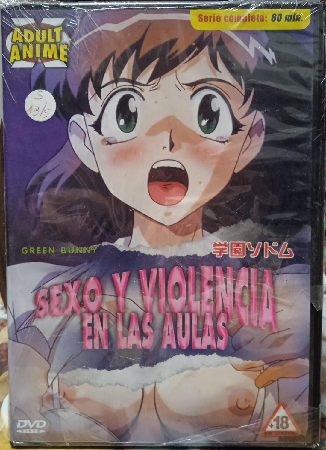 TeknoFilm - DVD (Lingua spagnola)– HENTAI - SEXO Y VIOLENCIA EN LAS AULAS (Serie completa) 1998 - FM CORPORATION