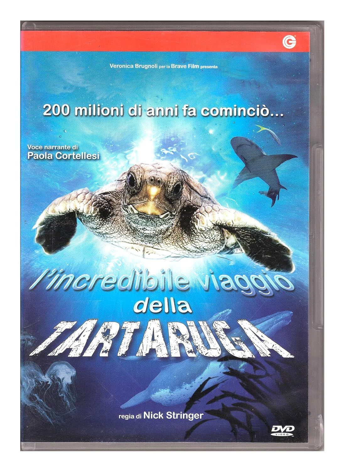 TeknoFilm – DVD – L'INCREDIBILE VIAGGIO DELLA TARTARUGA (Versione noleggio) di Nick Stringer (2008) - CECCHI GORI HOME VIDEO