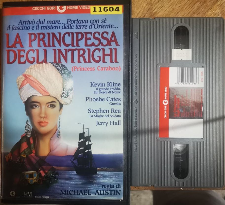TeknoFilm - VHS (Copertina tagliata) – LA PRINCIPESSA DEGLI INTRIGHI di Michael Austin (1995) - CECCHI GORI HOME VIDEO (INEDITO IN DVD)