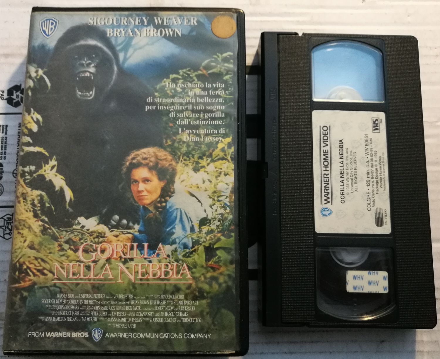 TeknoFilm – VHS – GORILLA NELLA NEBBIA - LA STORIA DI DIAN FOSSEY di Michael Apted (1988) - WARNER BROS TeknoFilm – VHS – GORILLA NELLA NEBBIA - LA STORIA DI DIAN FOSSEY di Michael Apted (1988) - WARNER BROS