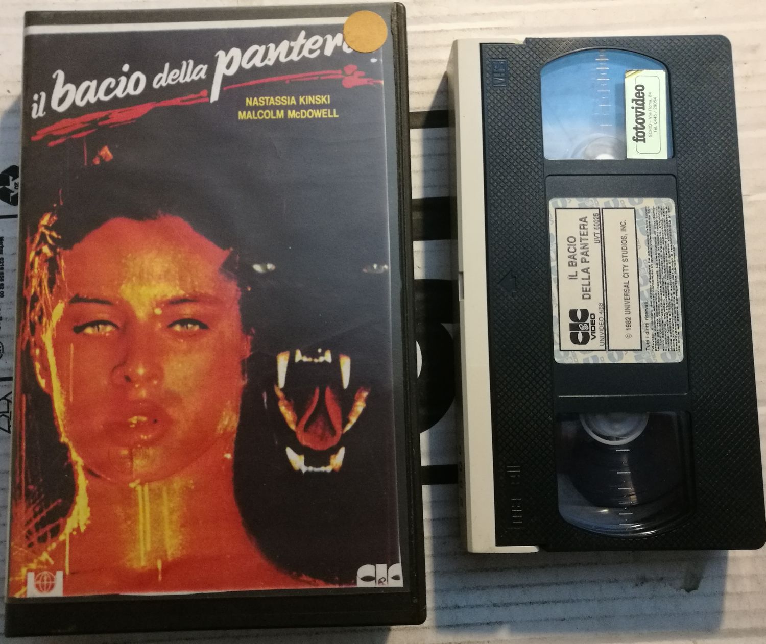 TeknoFilm - VHS – IL BACIO DELLA PANTERA di Paul Schrader (1982) - CIC TeknoFilm - VHS – IL BACIO DELLA PANTERA di Paul Schrader (1982) - CIC