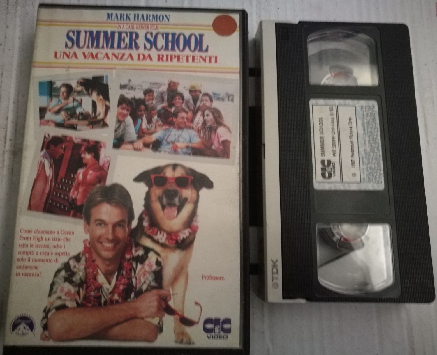 TeknoFilm - VHS – SUMMER SCHOOL - UNA VACANZA DA RIPETENTI di Carl Reiner (1987) - CIC (INEDITO IN DVD) TeknoFilm - VHS – SUMMER SCHOOL - UNA VACANZA DA RIPETENTI di Carl Reiner (1987) - CIC (INEDITO IN DVD)