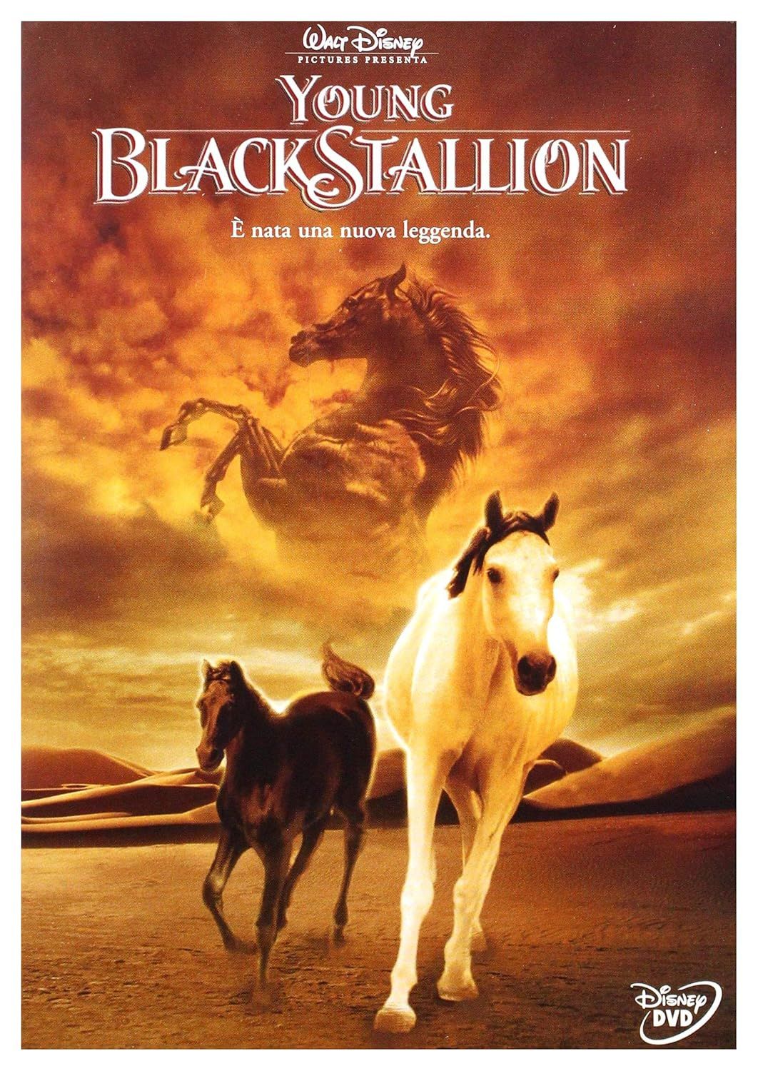 TeknoFilm - DVD – YOUNG BLACK STALLION di Simon Wincer (2003) - WALT DISNEY TeknoFilm - DVD – YOUNG BLACK STALLION di Simon Wincer (2003) - WALT DISNEY