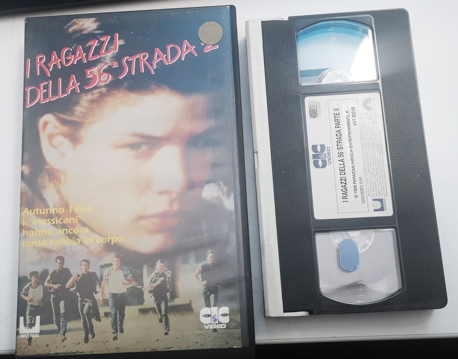 TeknoFilm – VHS – I RAGAZZI DELLA 56° STRADA 2 (THE OUTSIDERS) di Sharron Miller e Alan Shapiro (1989) - CIC (INEDITO IN DVD) TeknoFilm – VHS – I RAGAZZI DELLA 56° STRADA 2 (THE OUTSIDERS) di Sharron Miller e Alan Shapiro (1989) - CIC (INEDITO IN DVD)