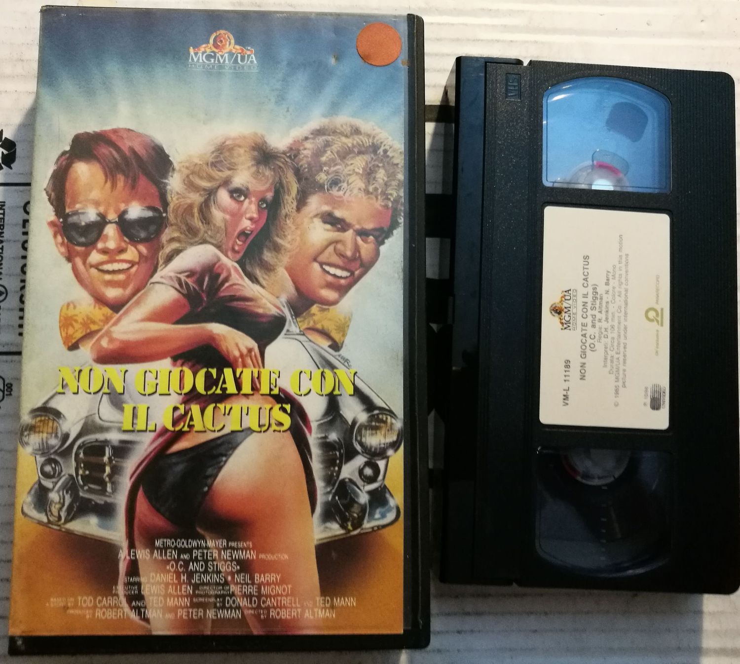 TeknoFilm - VHS – NON GIOCATE CON IL CACTUS di Robert Altman (1985) - MGM TeknoFilm - VHS – NON GIOCATE CON IL CACTUS di Robert Altman (1985) - MGM