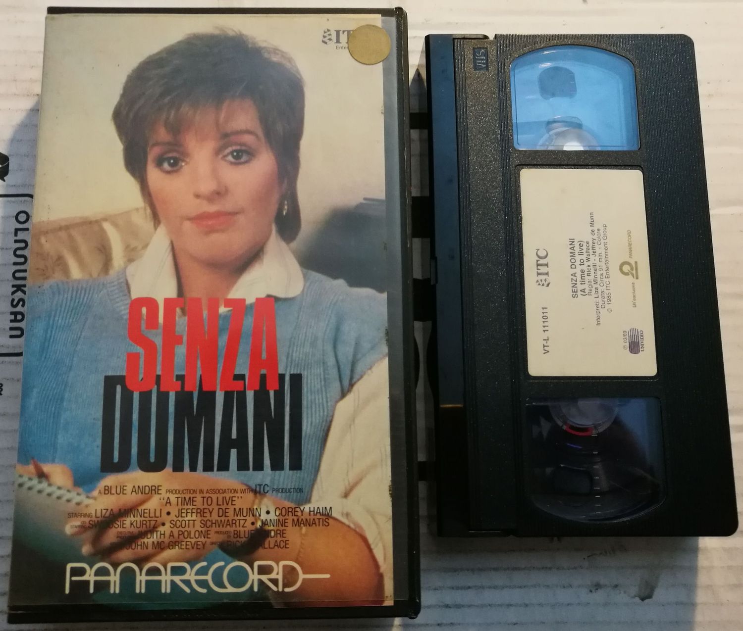 TeknoFilm - VHS – SENZA DOMANI di Rick Wallace (1985) - PANARECORD (INEDITO IN DVD)