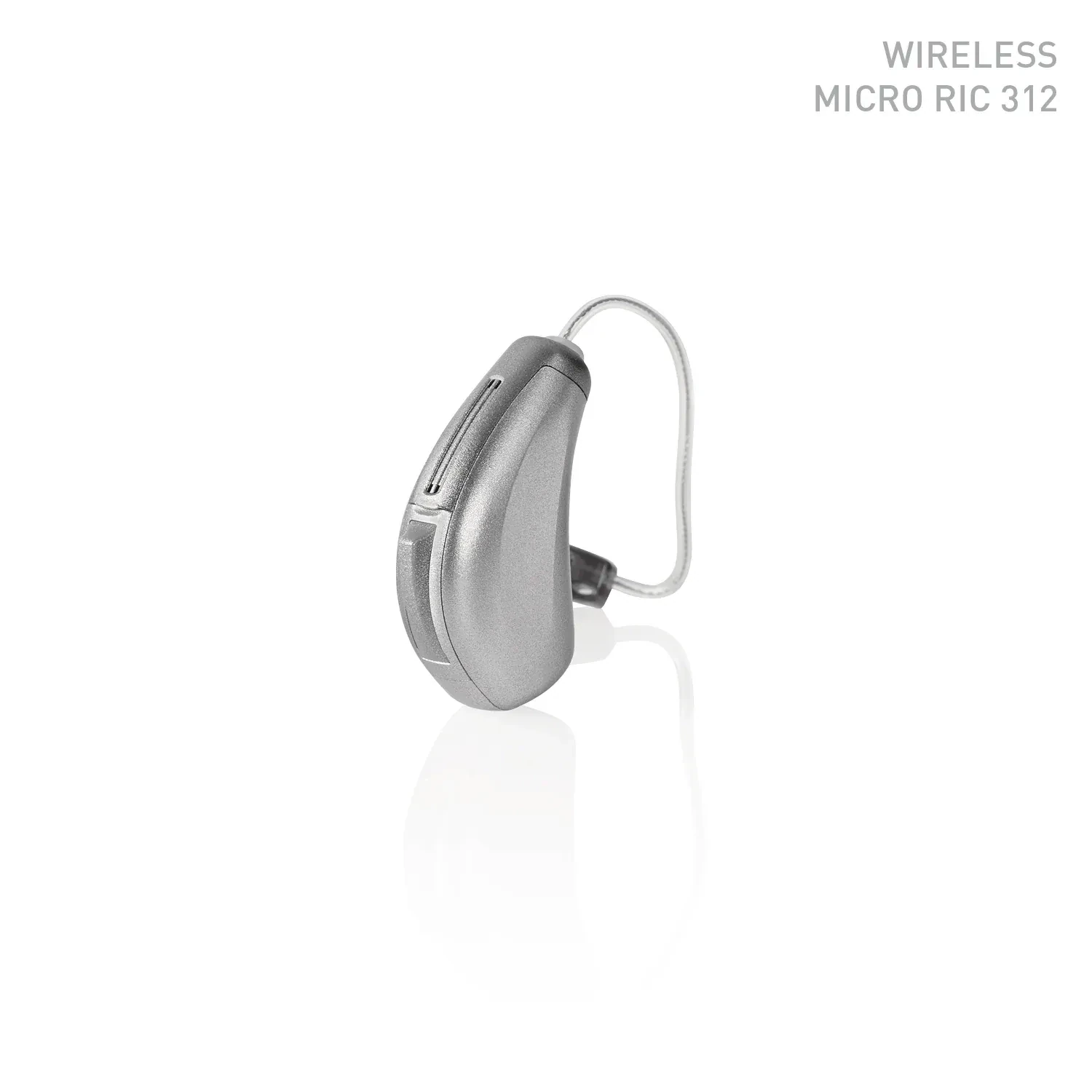 Receiver-In-Canal (RIC)