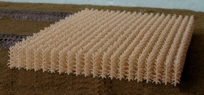 Bluford HO 102 Cornfield - Autumn Harvest