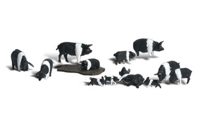 WOO A1864 HO Hampshire Pigs