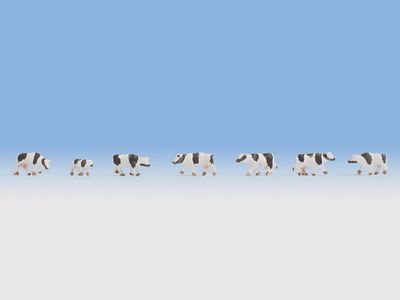 Z gauge Noch 44250 SEVEN Black &amp; White DAIRY COWS : 1:220 scale Figures