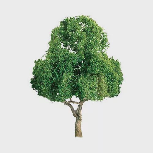 JTT Z Deciduous Trees 1&#39;&#39; - Model Railroad Tree Scenery - #94296