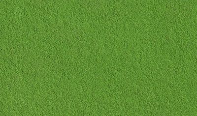 Woodland T45 Fine Turf Green Grass Bag