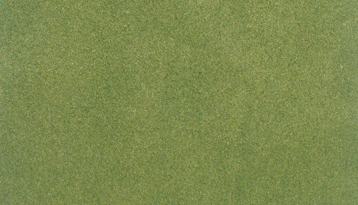 Woodland WOO5121 Spring Grass Mat 50" x 100"